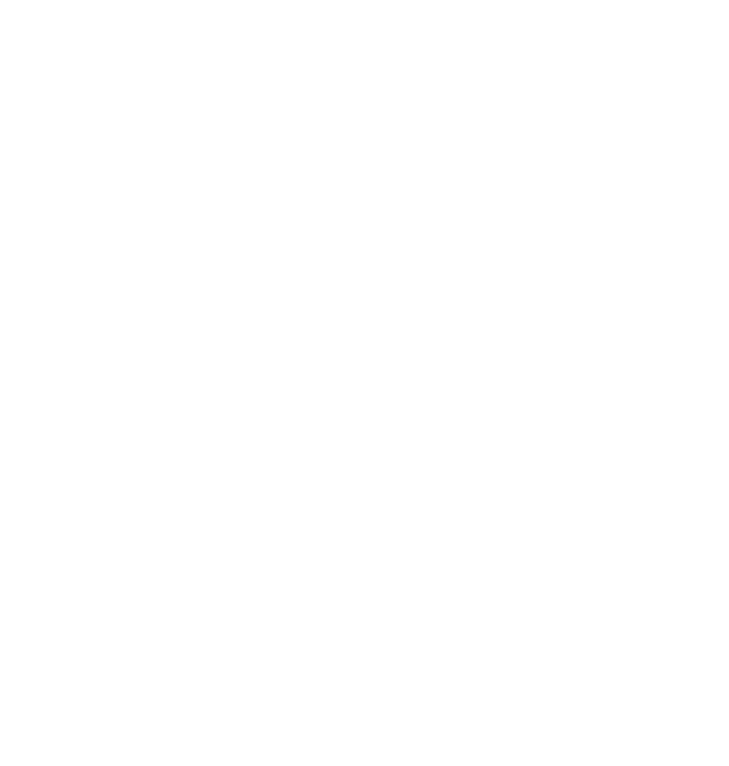 Shore_Magic_Flat_Logo